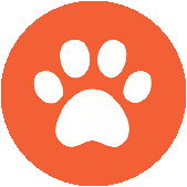 11. Kisállat Termékek